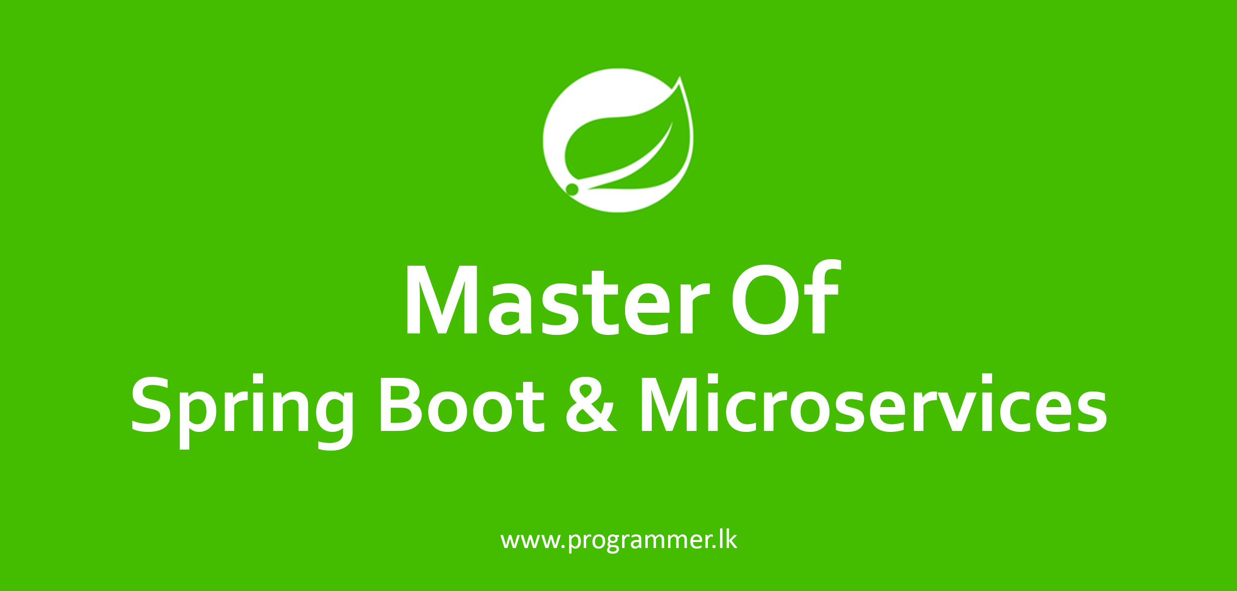 Master Of Spring Boot & Microservices in sri lanka by programmer.lk